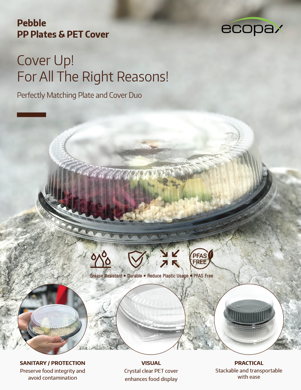 Ecoapx PP Plates and Lid Cover Sales Sheet image with products on a grey stone rock