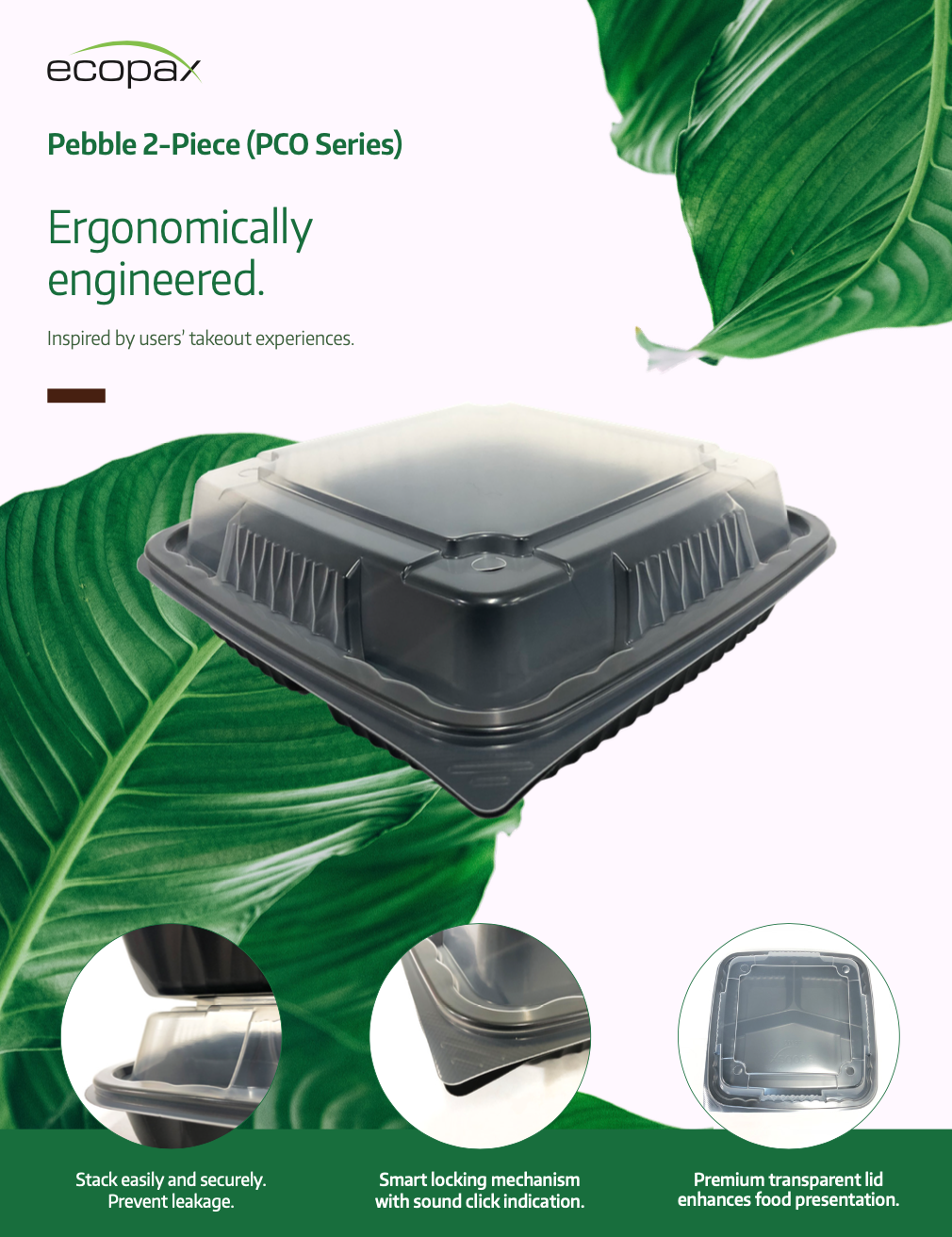 Ecopax Pebble 2-Piece sales sheet cover design takeout containers with clear lid against leafy green as background